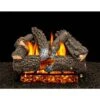 Aspen Whisper 24 In. Vented Propane Gas Fireplace Logs, Complete Set With Pilot Kit And On/Off Variable Height Remote