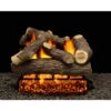 Cordoba 18 In. Vented Propane Gas Fireplace Logs, Complete Set With Manual Safety Pilot Kit