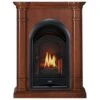 FS100T-3AS Ventless Fireplace System 10K BTU Duel Fuel Thermostat Insert And Apple Spice Mantel