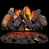 Vented Natural Gas Fireplace Log Set - 24 In., 55,000 BTU, Heartland Oak