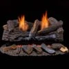 Ventless Dual Fuel Gas Log Set - 24 In. Berkshire Stacked Oak - Remote Control