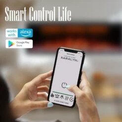 48 In. Smart Electric Recessed And Wall Mounted Fireplace With Remote In Black Fireplace Insert -Fire Place Store electric fireplace inserts bi48zpr01 fa 1000