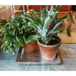 17 In. L Grey Steel Versatile Square Ash Pan 5 17 In. L Grey Steel Versatile Square Ash Pan -Fire Place Store grey achla designs ash buckets gt 04 4f 1000