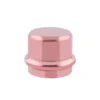 Guardian 2 In. Copper Press Cap Press Fit
