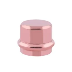 Guardian 2 In. Copper Press Cap Press Fit