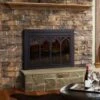 Collin Medium Black Glass Fireplace Doors