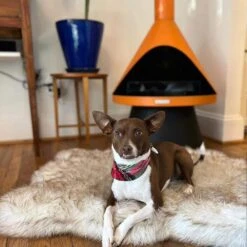 Lloyd 43.5 In Electroplated Steel Mid-Century Modern Indoor/Outdoor Gel Fuel Fireplace - With 6pk Pure Fuel 9 Lloyd 43.5 In Electroplated Steel Mid-Century Modern Indoor/Outdoor Gel Fuel Fireplace - With 6pk Pure Fuel -Fire Place Store solo stove chimineas lyd44 2 org 6k 1f 1000