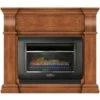 Dual Fuel Ventless Fireplace: 26,000 BTU, 1 Log, Heats 1400 Sq. Ft., Almond Finish, Natural Gas Or Propane.