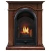 FS100T-TA Ventless Fireplace System 10K BTU Duel Fuel Thermostat Insert And Toasted Almond Mantel